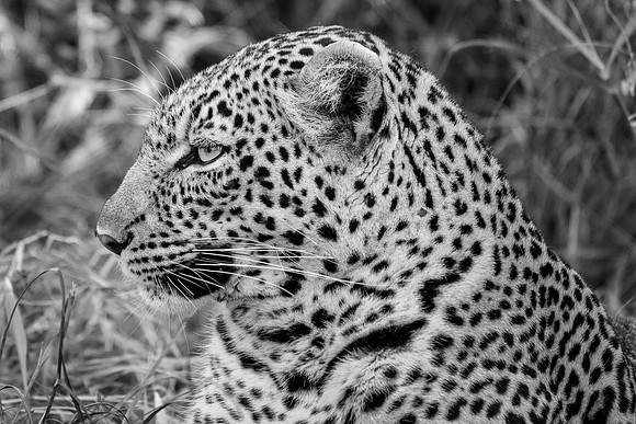 20240728_JSP_Africa_Kenya_1684