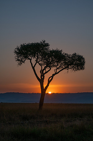 20240725_JSP_Africa_Kenya_671