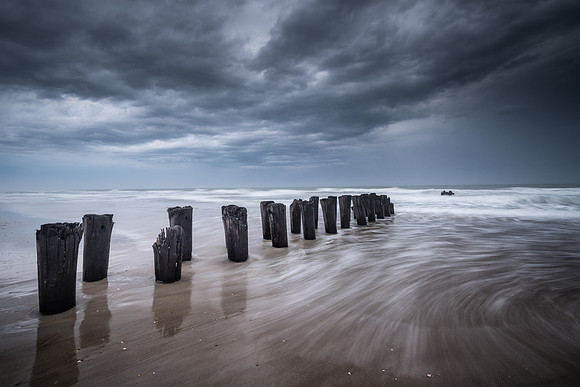20210318_JMS_NC_Coastal_0694-637