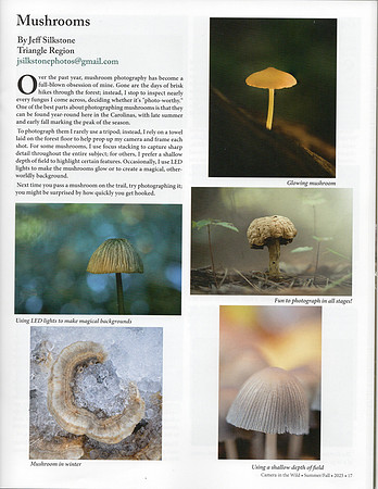 CameraintheWild Summer Fall 2025 Mushrooms Article