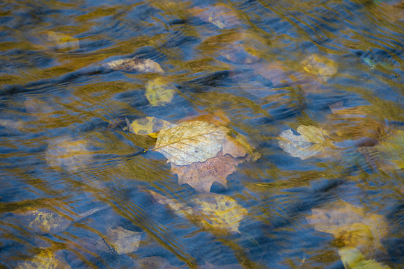 251016-JSP-NC_AppalachianMnts-14425