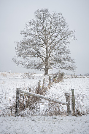 250219-JSP-NC_Snow-52