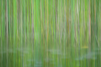 20230428_JMS_NC_BC_0046