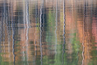20231117_JMS_NC_JordanLake_0030-2