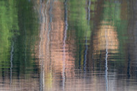 20231117_JMS_NC_JordanLake_0029-2