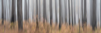 20221207_JMS_NC_JordanLake_0266