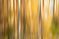 20211126_JMS_NC_JordanLake_0203