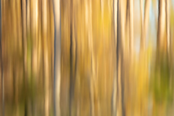 20211126_JMS_NC_JordanLake_0203