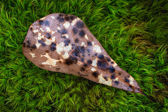 260221-JSP-NC_SmallThings-538_S-18