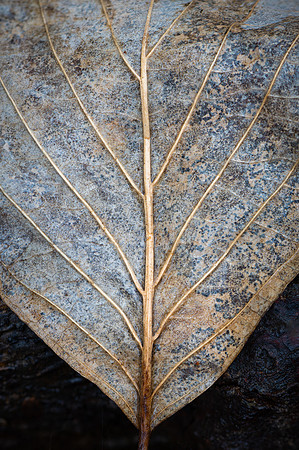 260221-JSP-NC_SmallThings-283_S