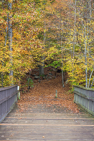 20181109_JMS_BC_0023