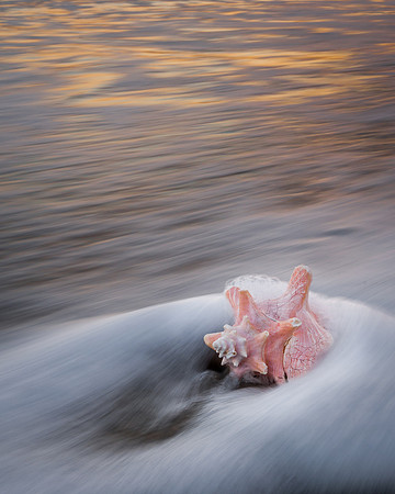 Silkstone-130208_0103