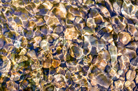 260503-JSP-NC_PisgahNF-775