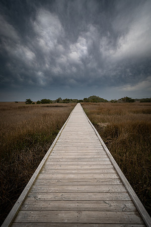 20210318_JMS_NC_Coastal_0462