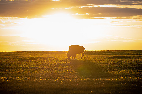 20230603_JMS_SD_BadlandsNP_584
