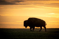 20230603_JMS_SD_BadlandsNP_591