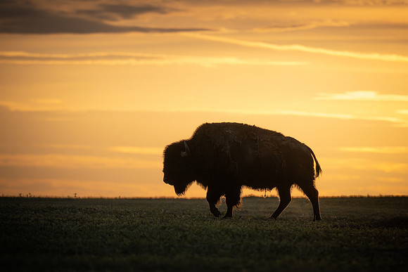 20230603_JMS_SD_BadlandsNP_591