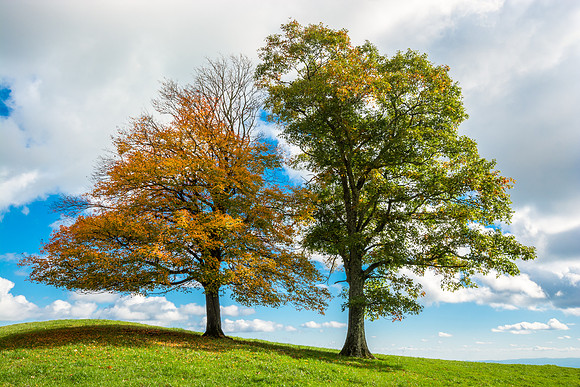 Silkstone-151012_0449_255