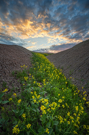 DSC_1096-HDR-851
