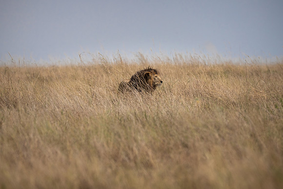 20240729_JSP_Africa_Kenya_2048