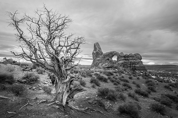 20160218_JMS_ArchesCanyon_0583