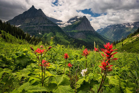 20160723_JMS_Glacier_0470_555