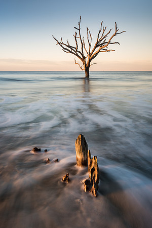 20160409_JMS_Charleston_0807_433