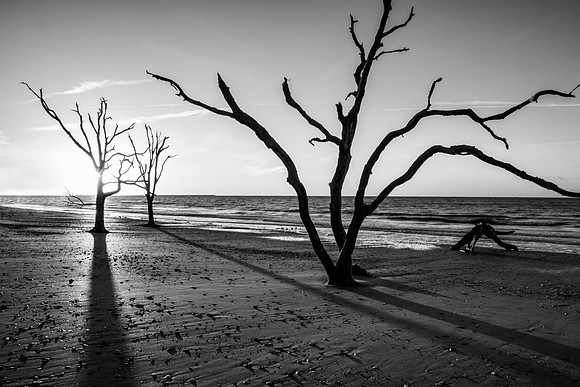 20160410_JMS_Charleston_1087_483