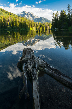 20160621_JMS_Tetons_0244_536