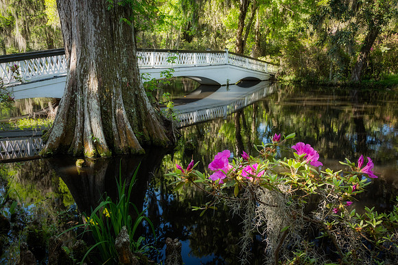 20160408_JMS_Charleston_0637_436