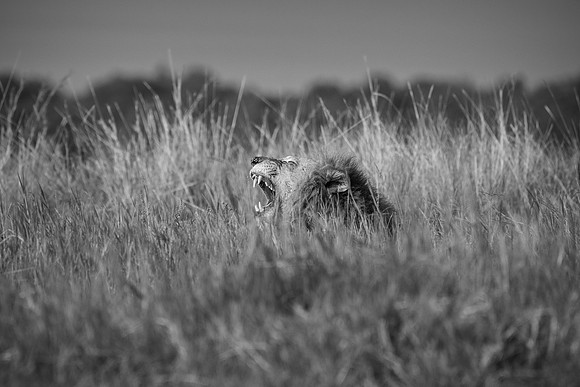 20240726_JSP_Africa_Kenya_1264