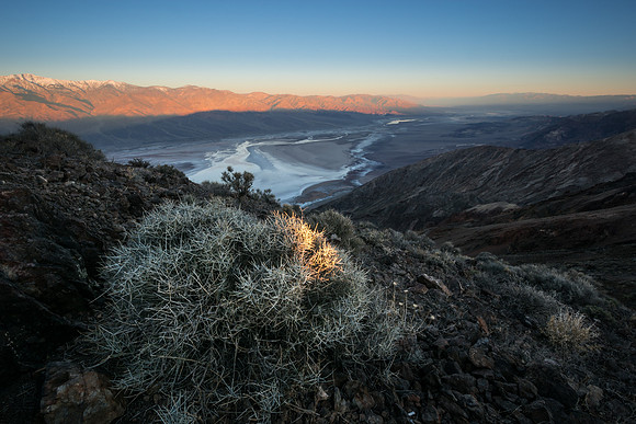 20170224_JMS_DeathValley_988