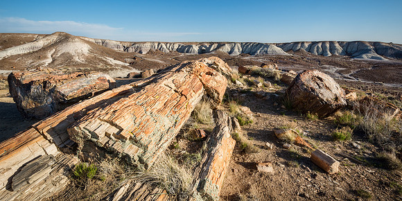 20170410_JMS_SW_AZ_NM_0151-122