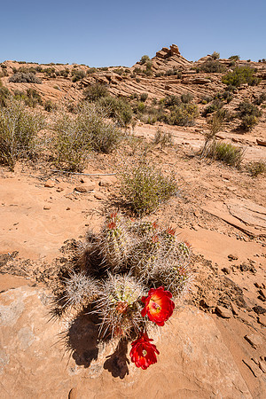 20170414_JMS_SW_AZ_NM_0849