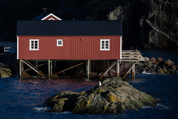 250226-JSP-Lofoten_NO-911