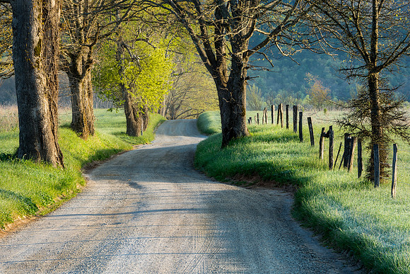 Silkstone-150424_0029_16
