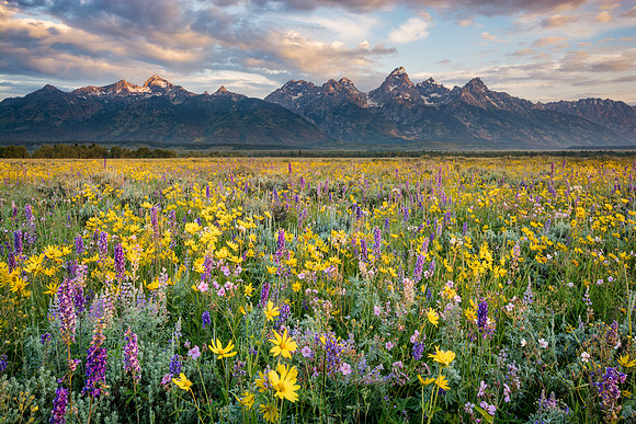 Tetons-JMS-150707_0840-31