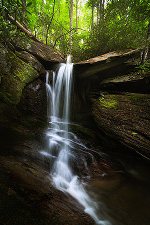 20210527_JMS_NC_AppalachianMnts_0053-314