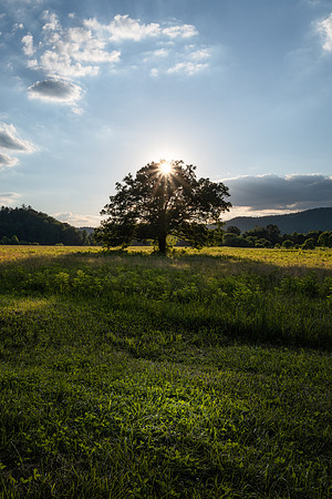 20210616_JMS_TN_GSMNP_0064-327