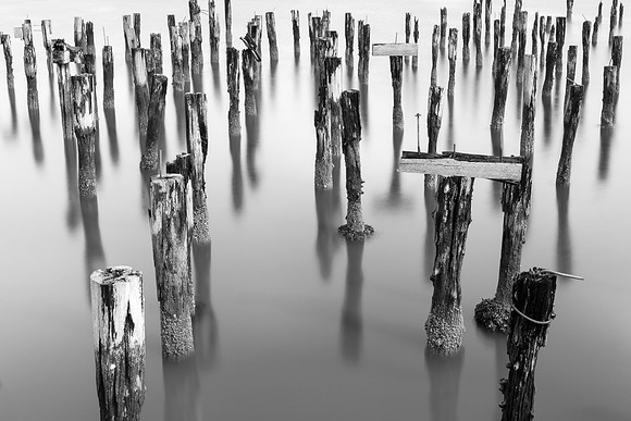 20180416_JMS_Oregon_115