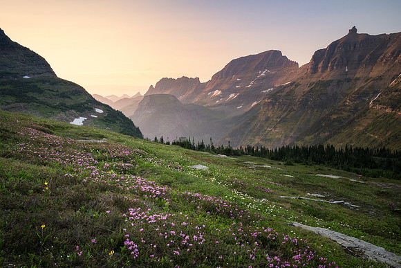 20210712_JMS_Montana_GlacierNPS_576-358