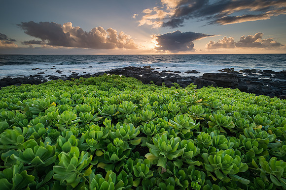 20180703_JMS_Hawaii_0203
