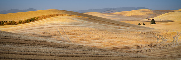 20180811_JMS_Palouse_0529-722