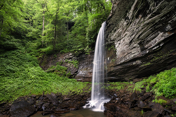 20220709_JMS_WV_MonongahelaNF_0083-652