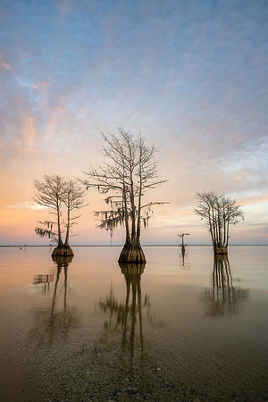 20231208_JMS_SC_LowCountry_0129-47