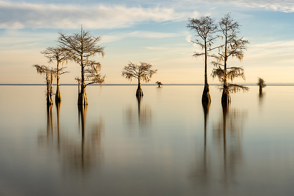 20231208_JMS_SC_LowCountry_0168-45