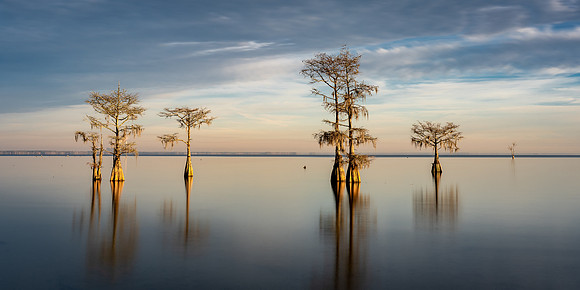 20231208_JMS_SC_LowCountry_0165