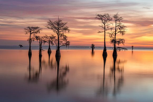 20231208_JMS_SC_LowCountry_0097-50
