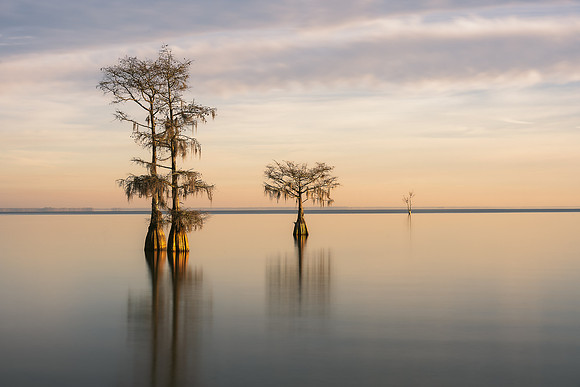 20231208_JMS_SC_LowCountry_0164-51