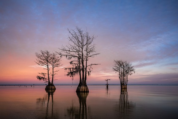 20231208_JMS_SC_LowCountry_0132